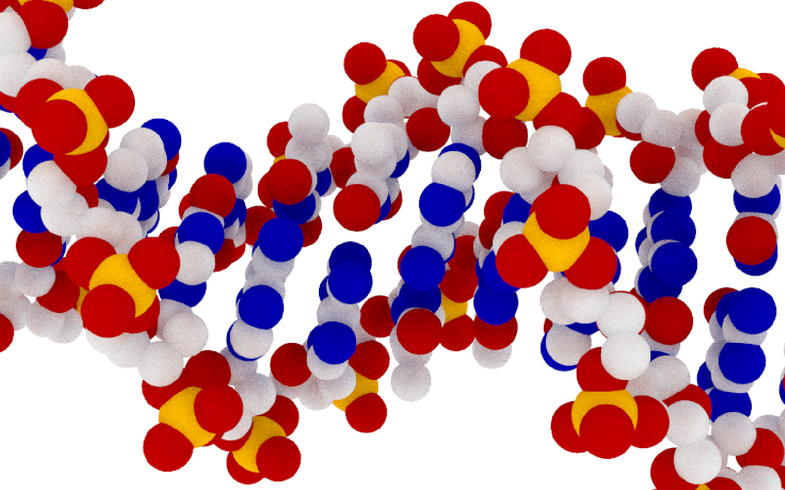 符合科学实际的DNA